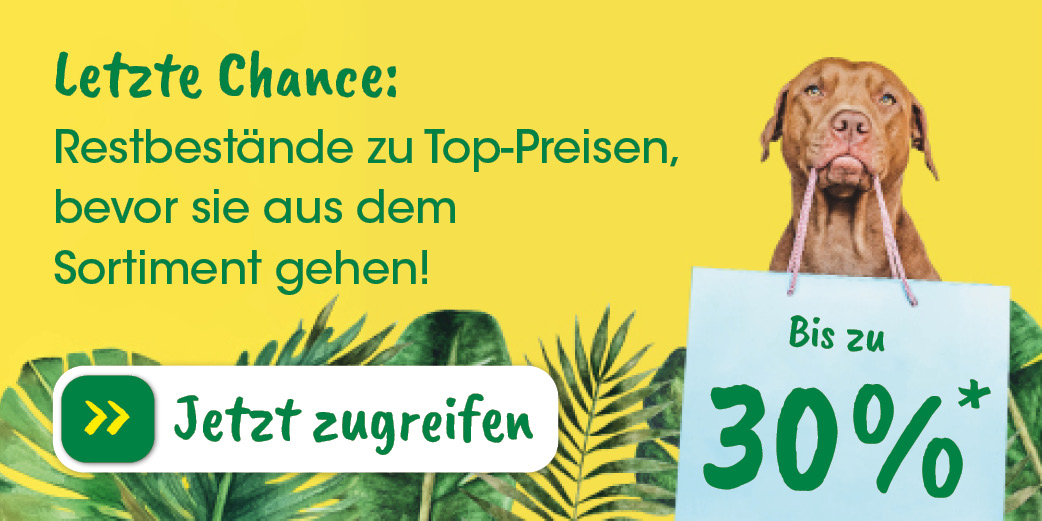 Werbung, Plakat, Hund, Säugetier, Haustier