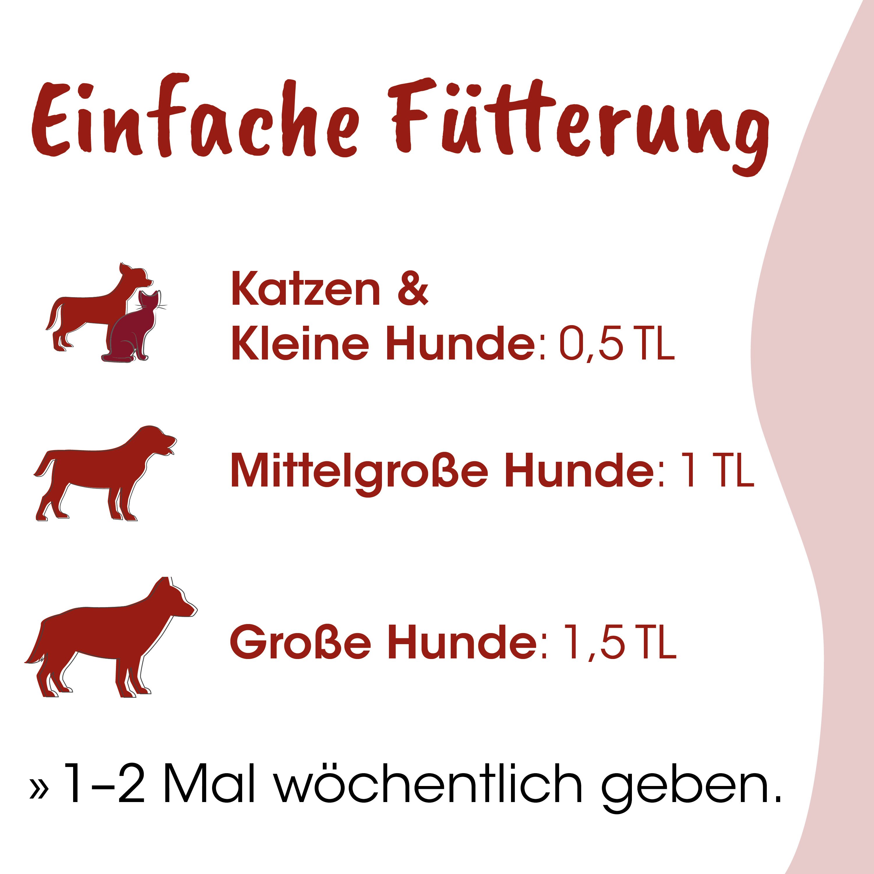 Hund, Katze, Hunde, Fütterung, Zeichnung