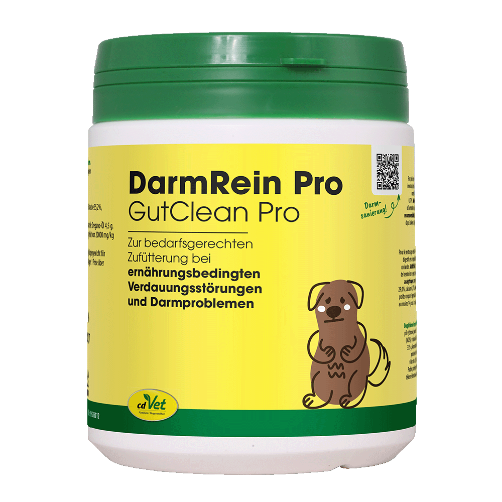 Kräuterig, Kräuter, Pflanze