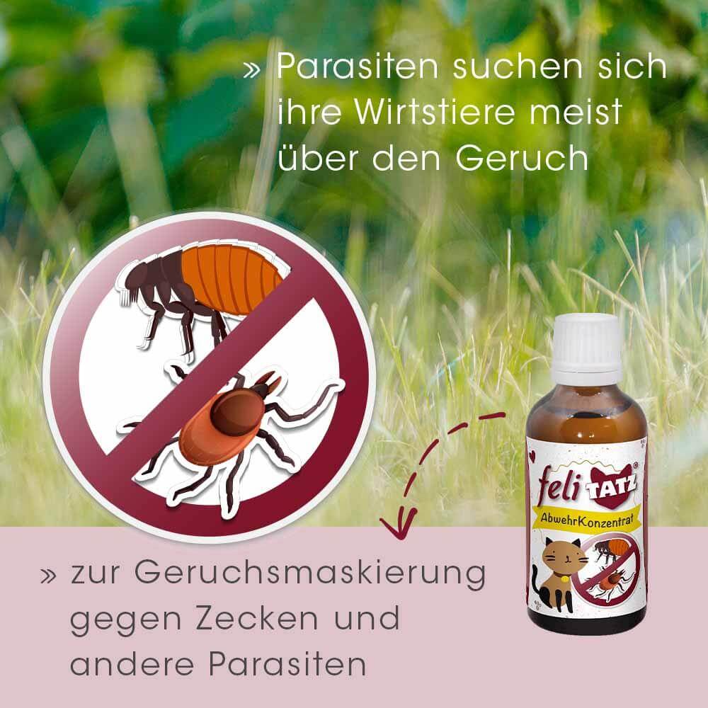feliTATZ AbwehrKonzentrat 10 ml