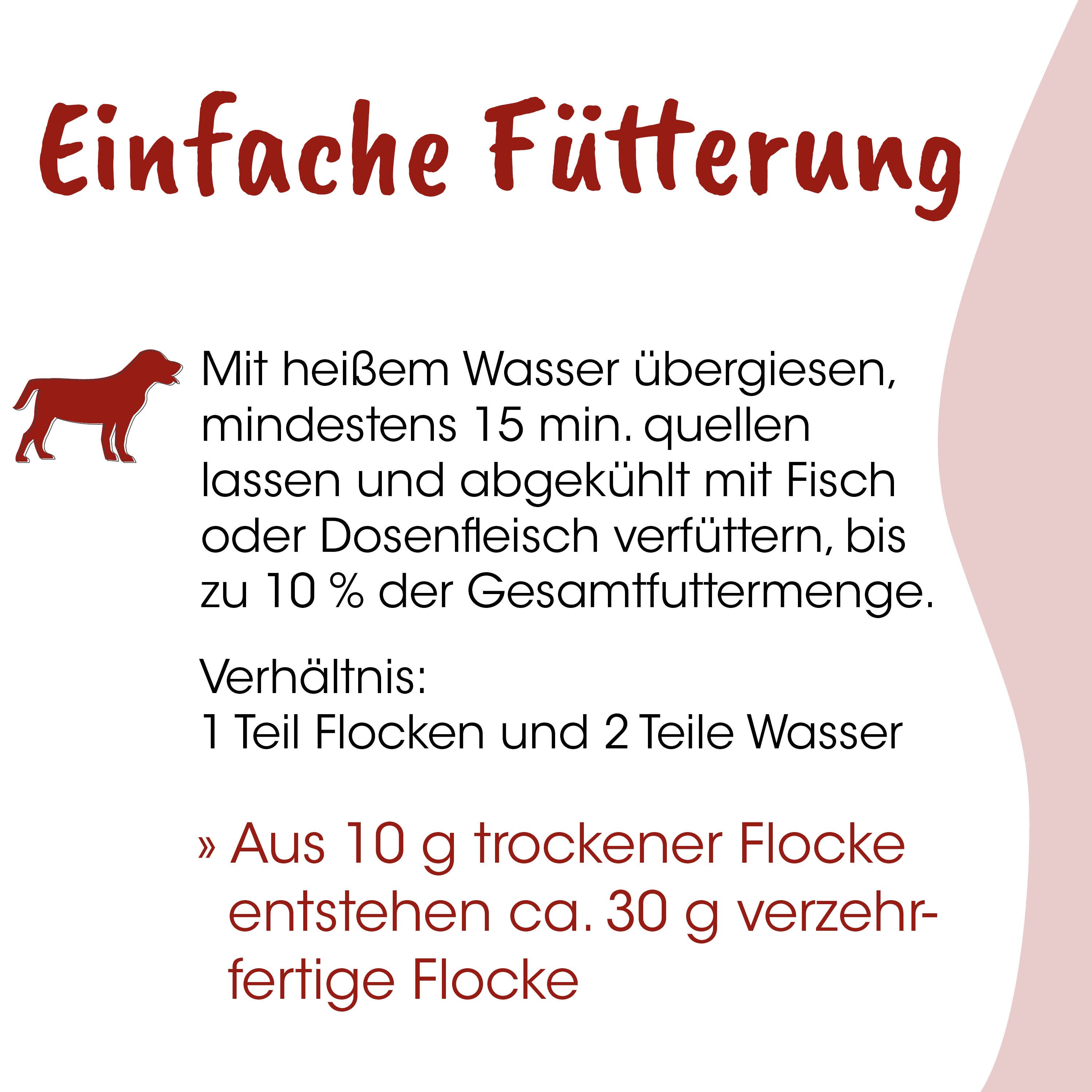 Hund, rote Figur, Fütterung, Tierfutter, Anleitung