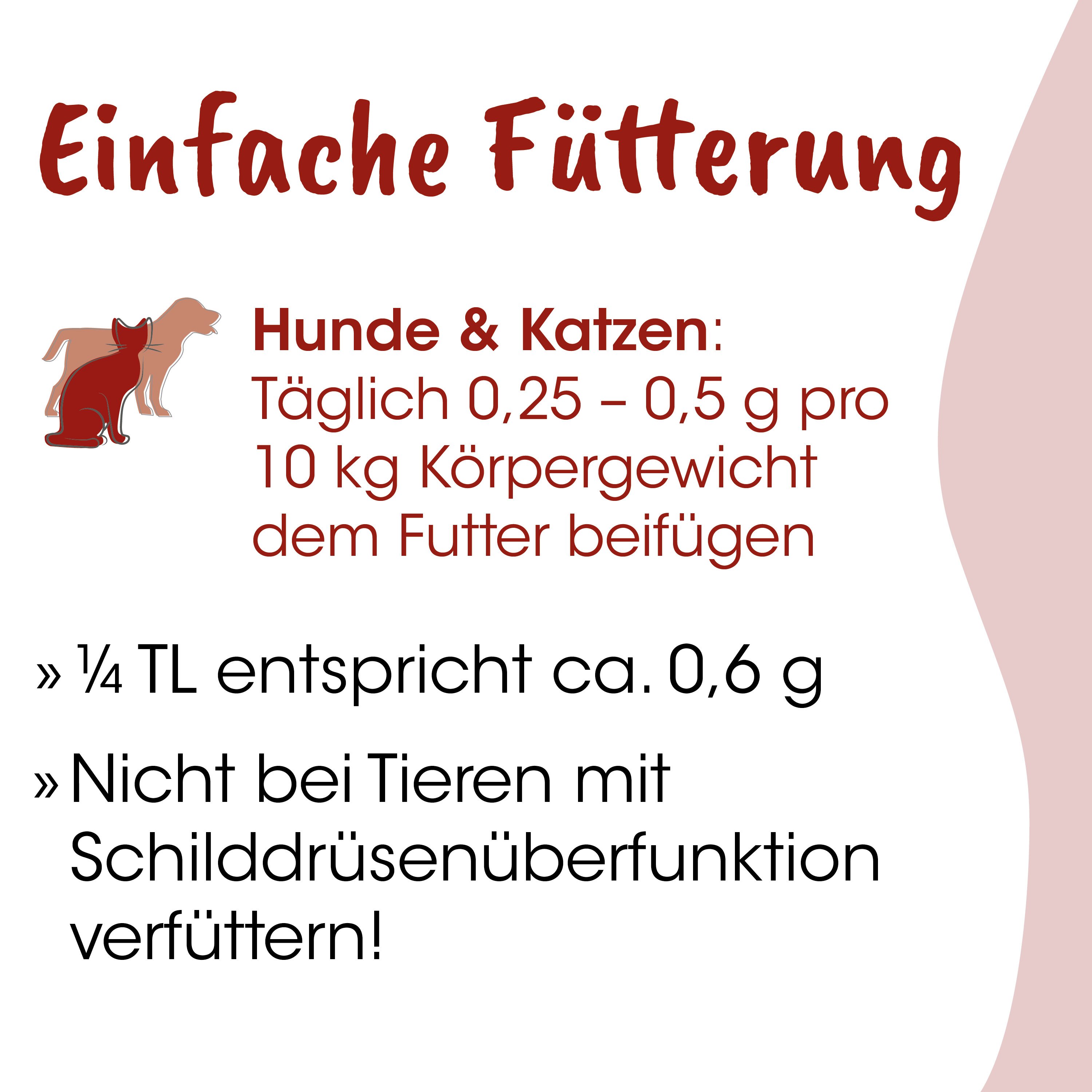Lebensmittel, Tierfutter, Hutter, Katzenfutter, Hunde & Katzen
