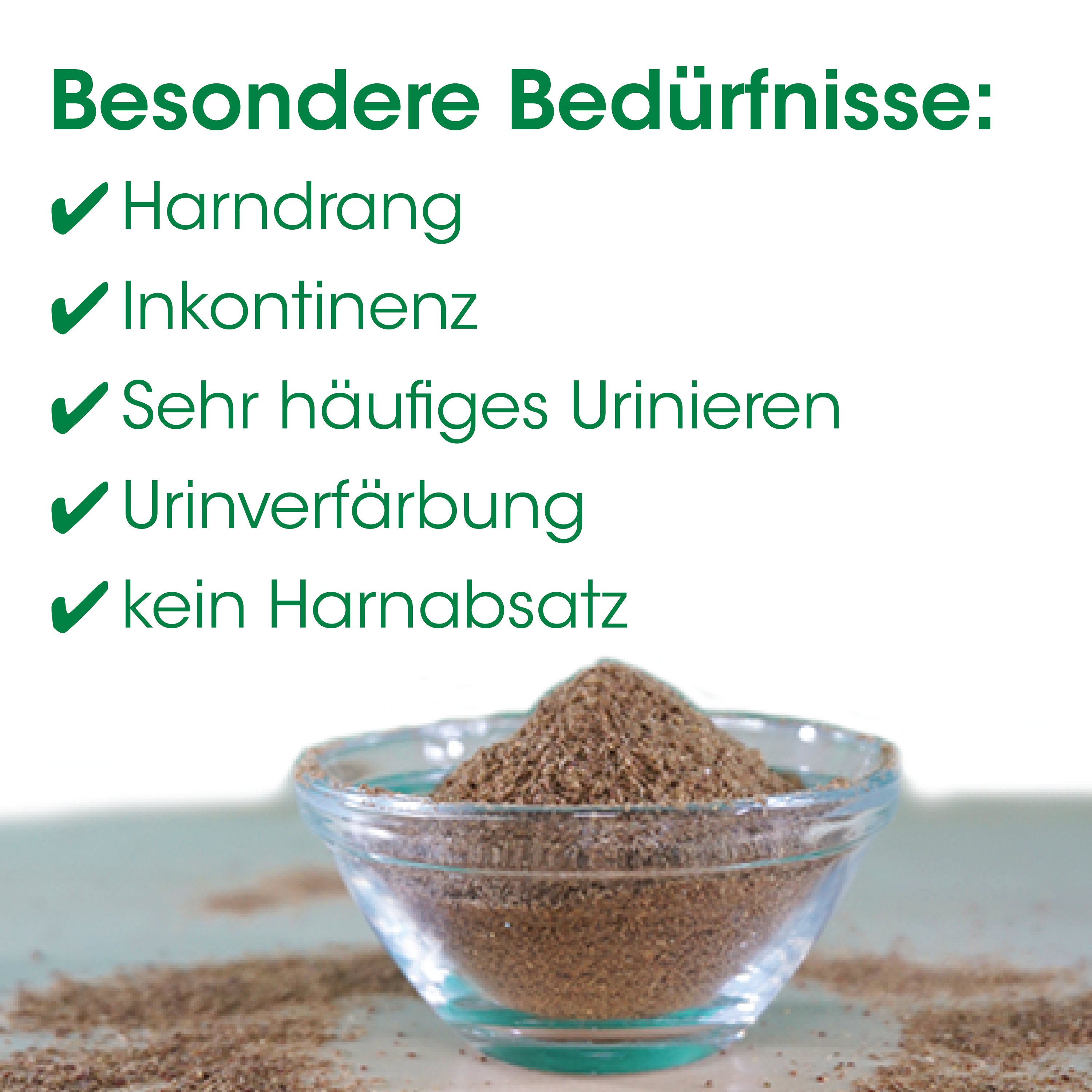 Kakao Pulver, Kaffeemühle, Kaffeemahlung, Kaffee, Kunststoffschale