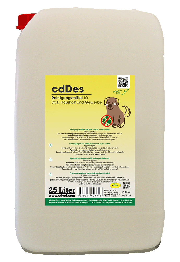 Hund, Säugetier, Haustier, QR Code
