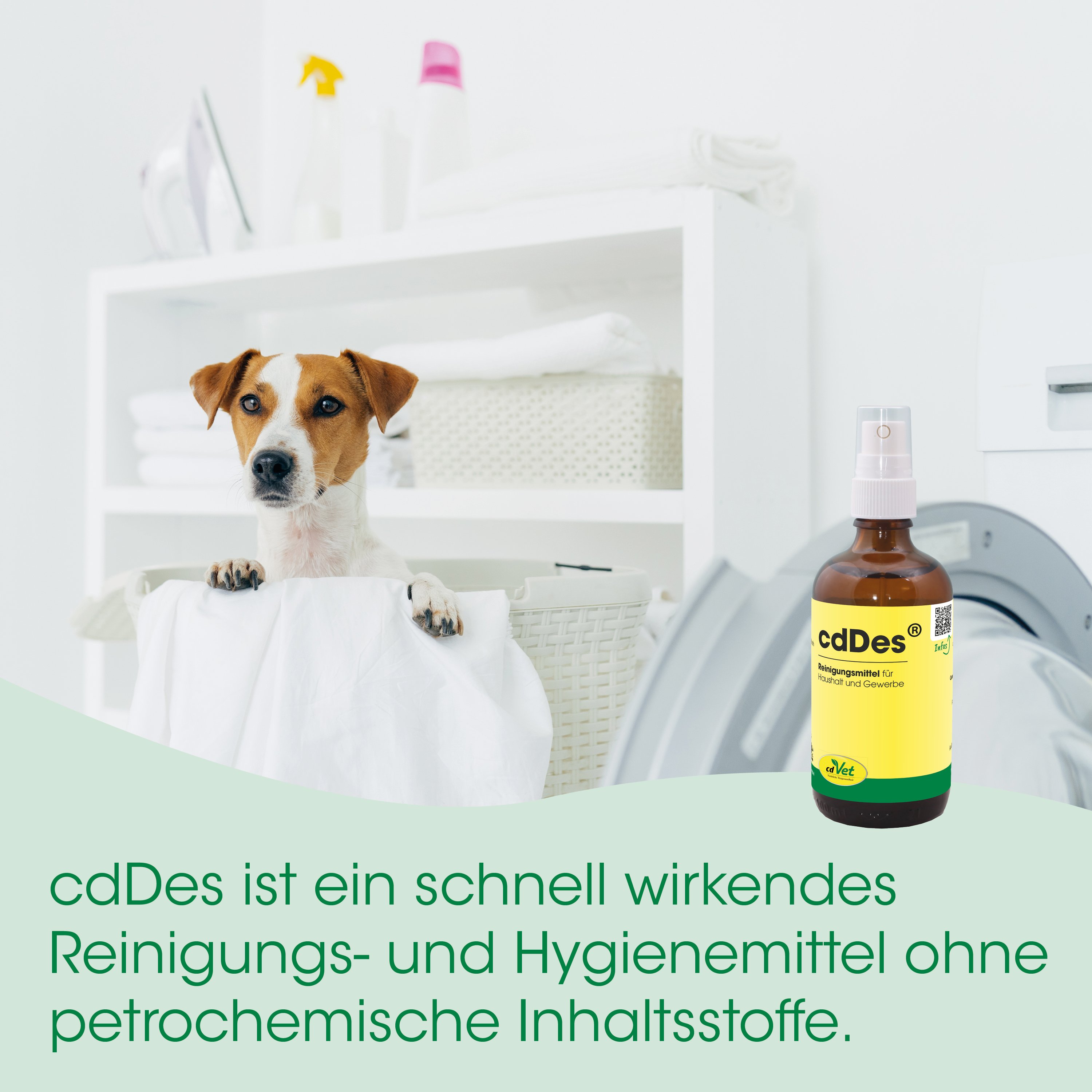 hund, wäsche, reinigen, tier, sprühflasche