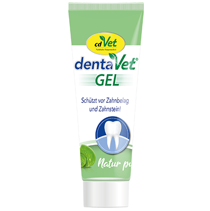 Zahnpasta, Zahnpflege, Gel, Natur, Zahncreme?