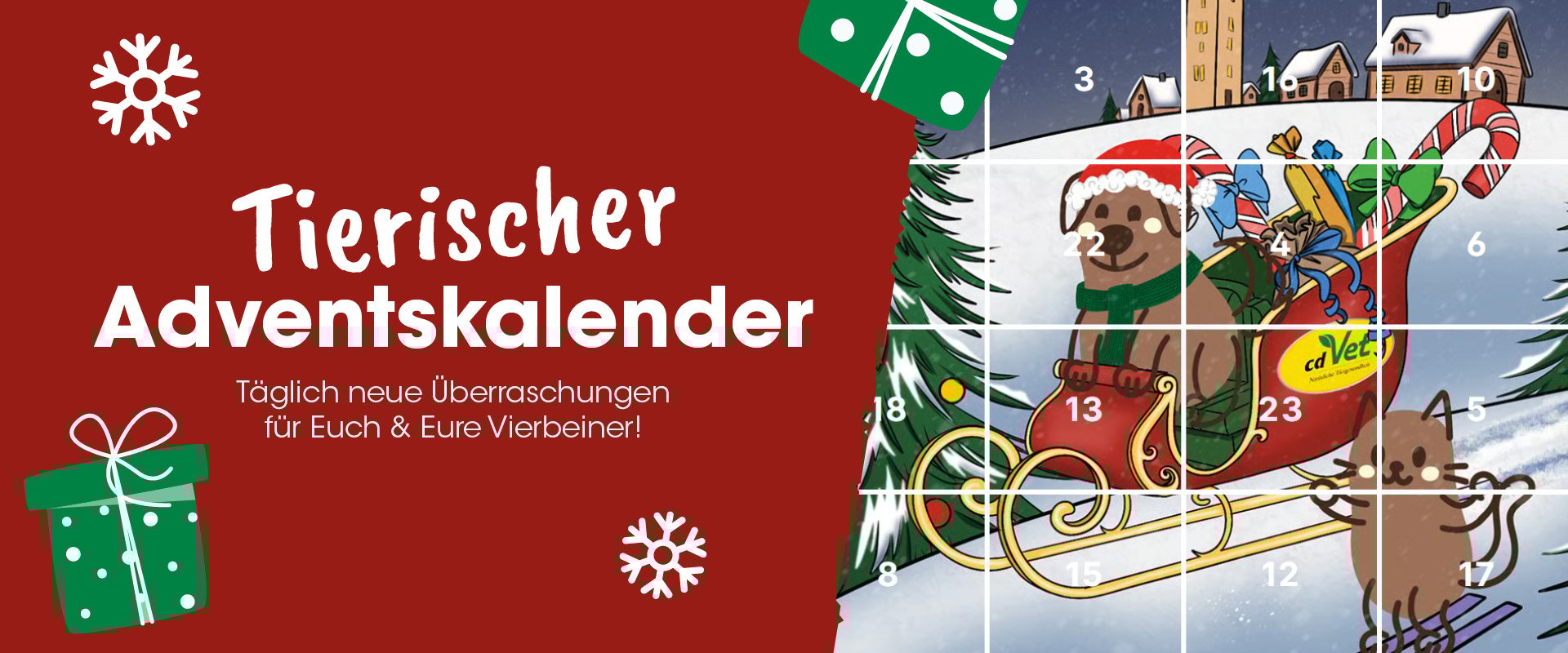 Person, Gesicht, Kopf