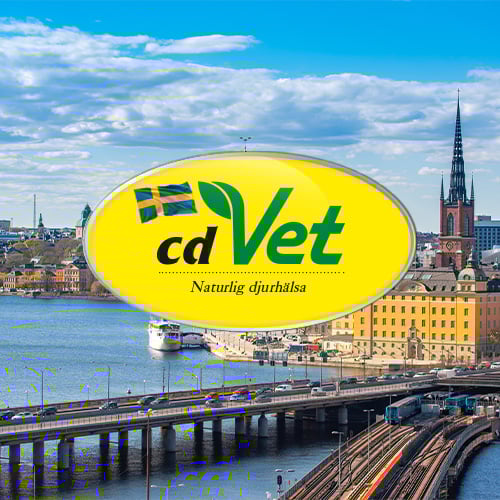 Sweden_Bild Uferpromenade, Stadt, Metropole, Straße, Auto