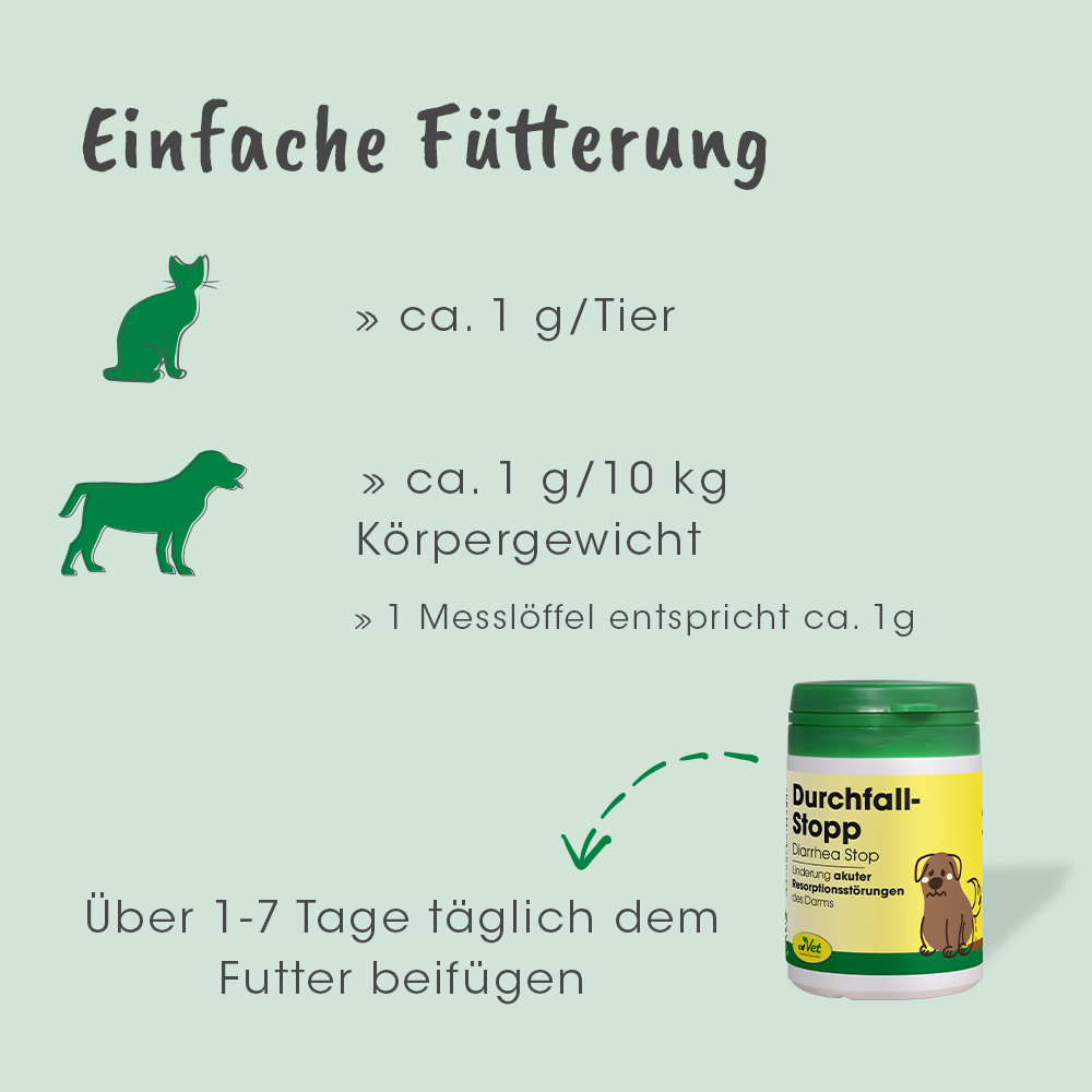 Kräuterig, Pflanze, Werbung, Hund, Haustier