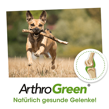 ArthroGreen Classic 100 Kapseln