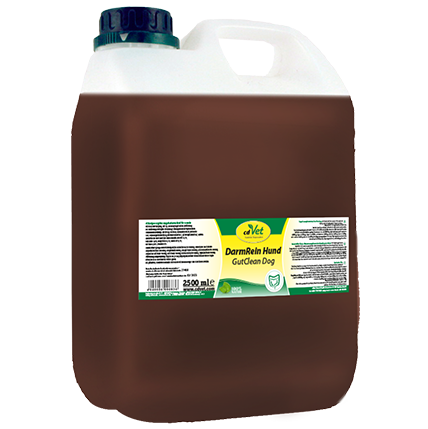 DarmRein Hund  2,5 L