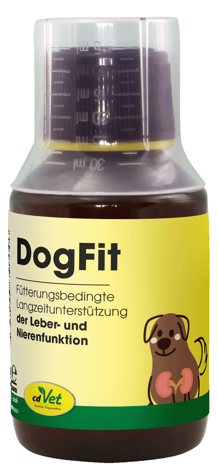 DogFit