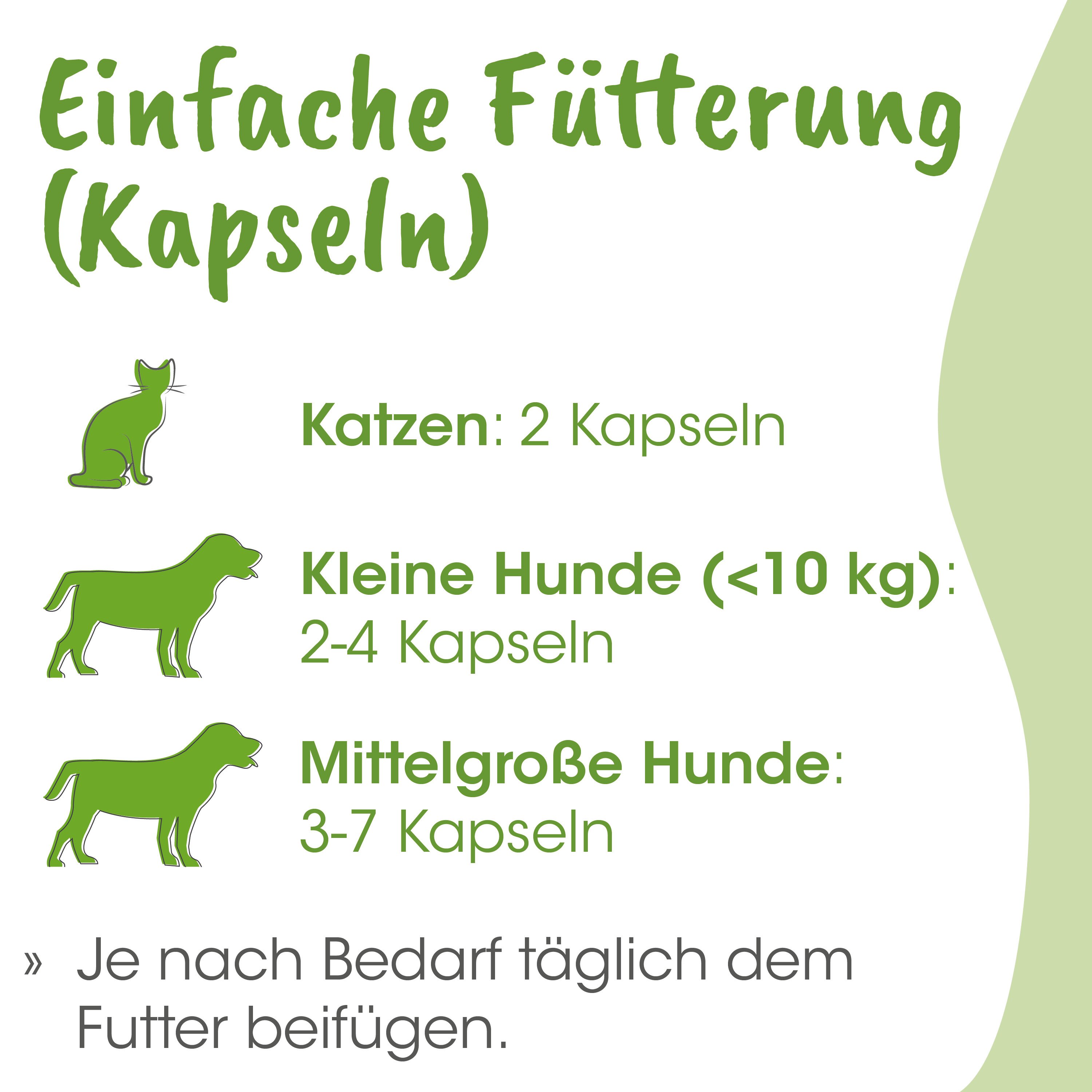 Katzenfutter, Katzenkapseln, Katzenfutterkapseln, Hunde Nahrung, Tierfutter