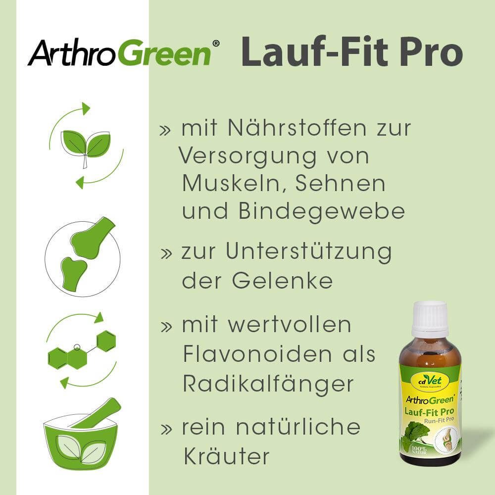 ArthroGreen Lauf-Fit Pro 250 ml -Sorbe-