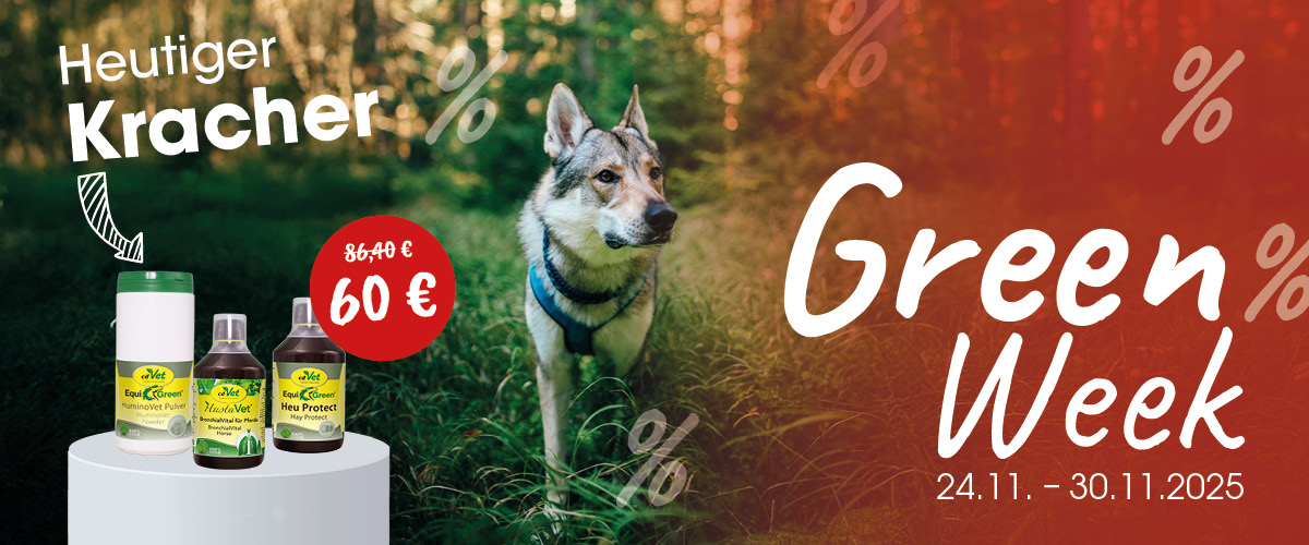 Hund, Säugetier, Haustier, Werbung, Flasche