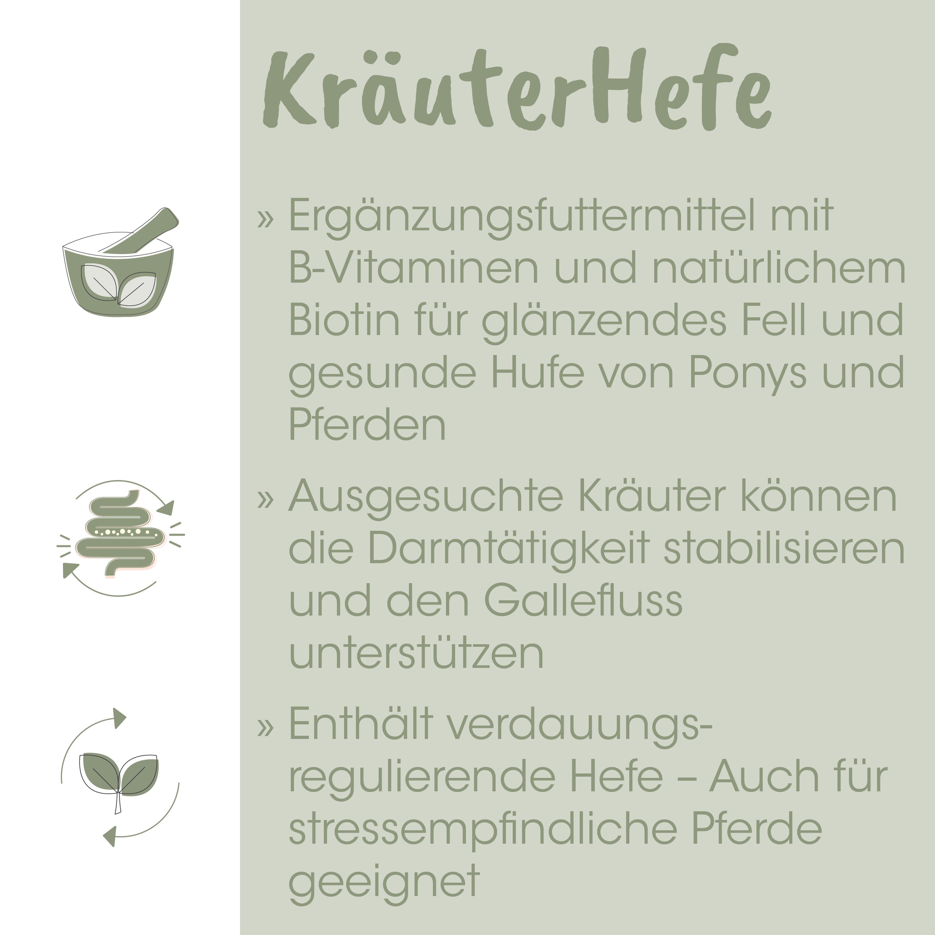 Kräuterhefe, Supplement, Biotin, Hefen, Kapseln