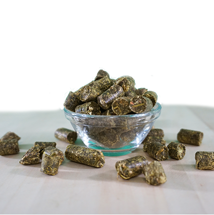 EquiGreen Bio-KräuterGrün Leckerlis 20 kg
