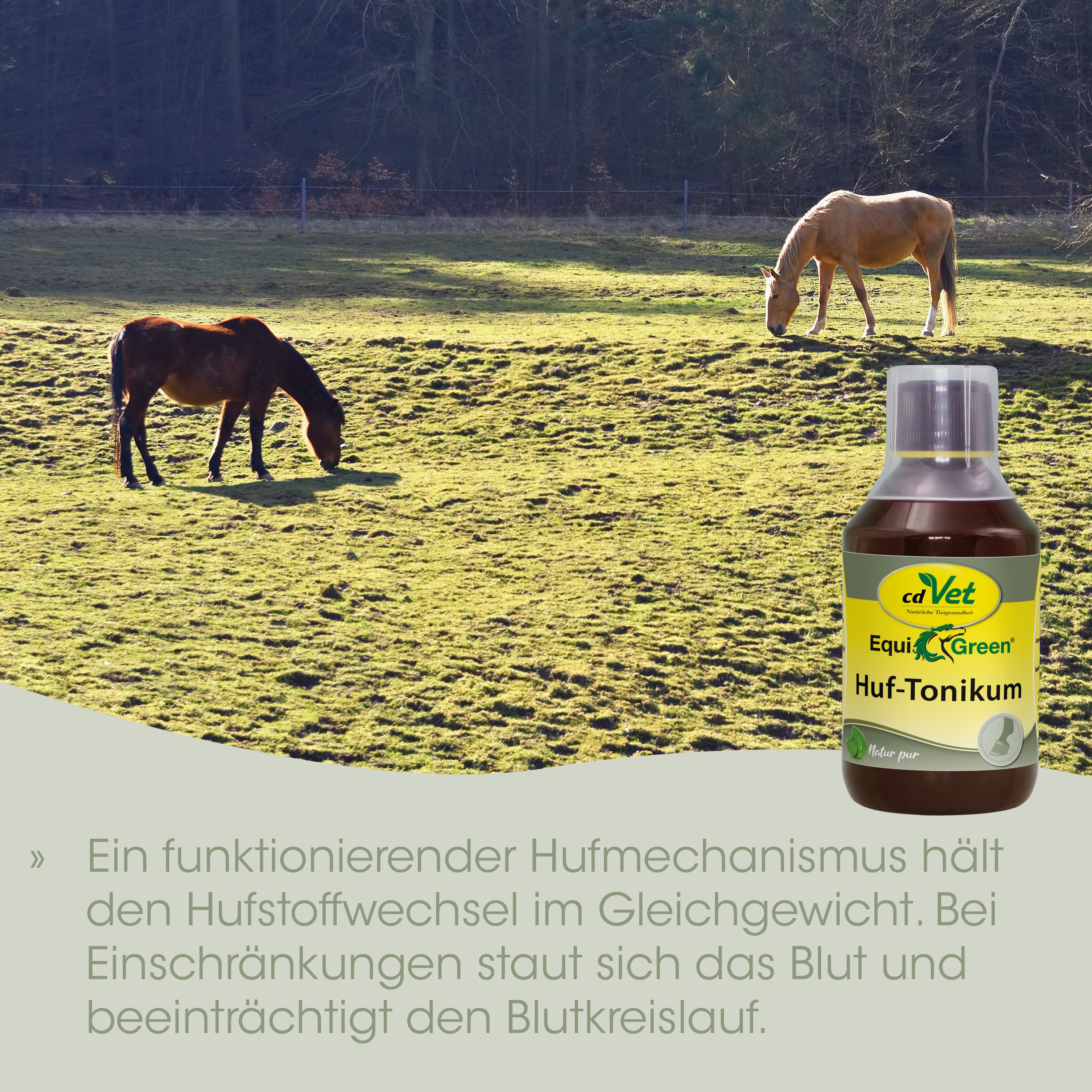 horse, horses, pasture, grass, Flasche