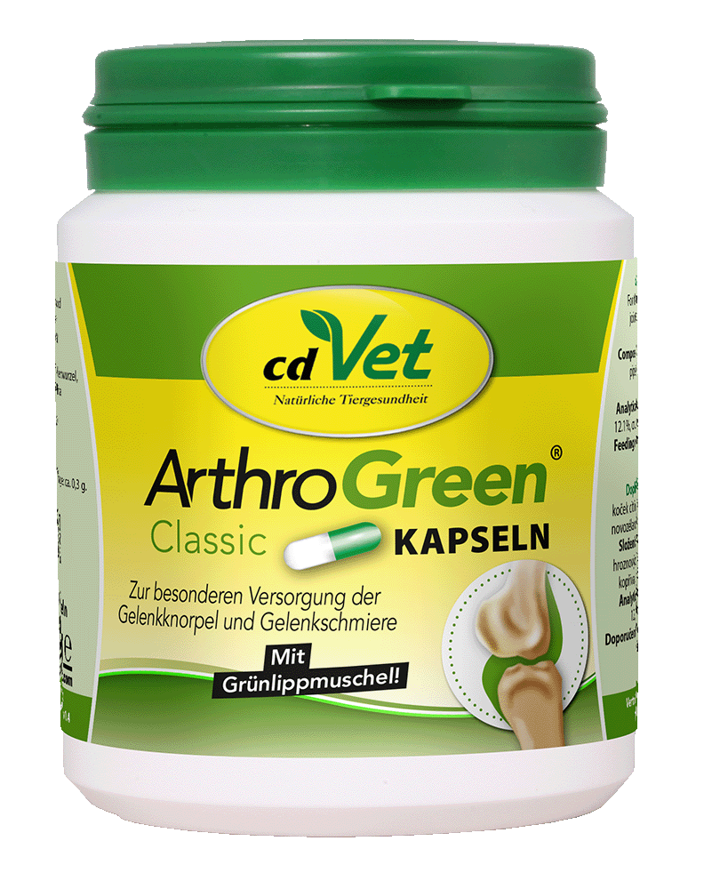 ArthroGreen, Kapseln, Gelbgrüne Verpackung, Naturprodukt, Gelenkschutz, ArthroGreen, Kapseln, Gelenkpflege, Grünlippmuschel, cdVet