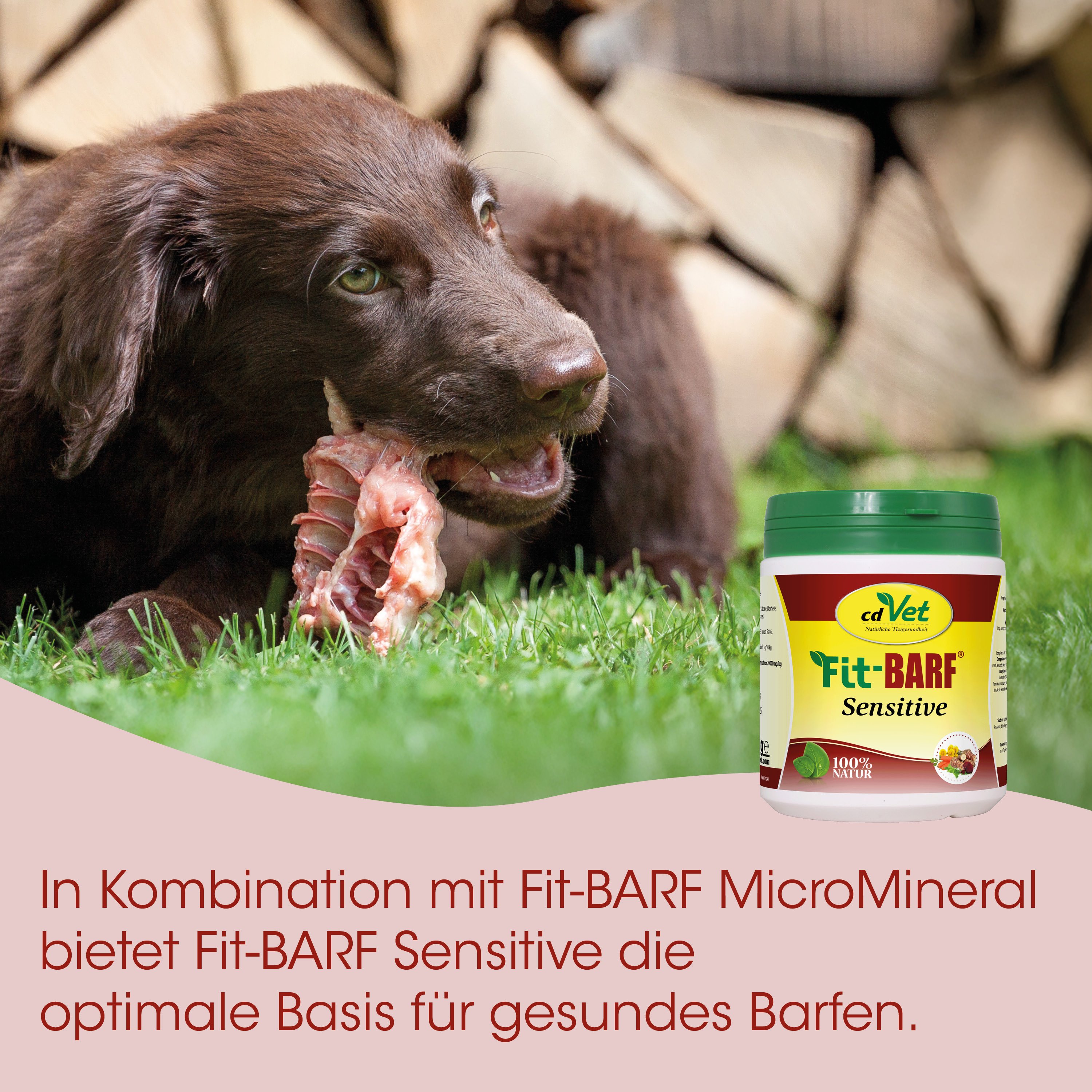 Hundefutter, Kau Training, Barf-Form, Getreidefrei, Supplements