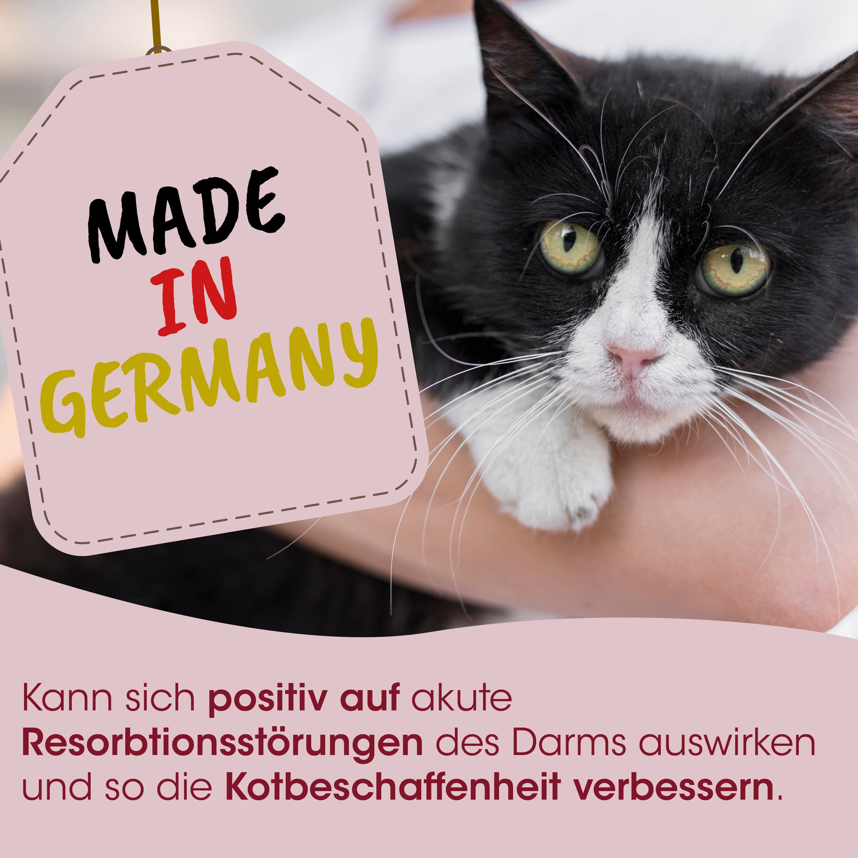 Katze, Schwarz-weiß, Tierpflegesignal, Tiergesundheit, Made in Germany