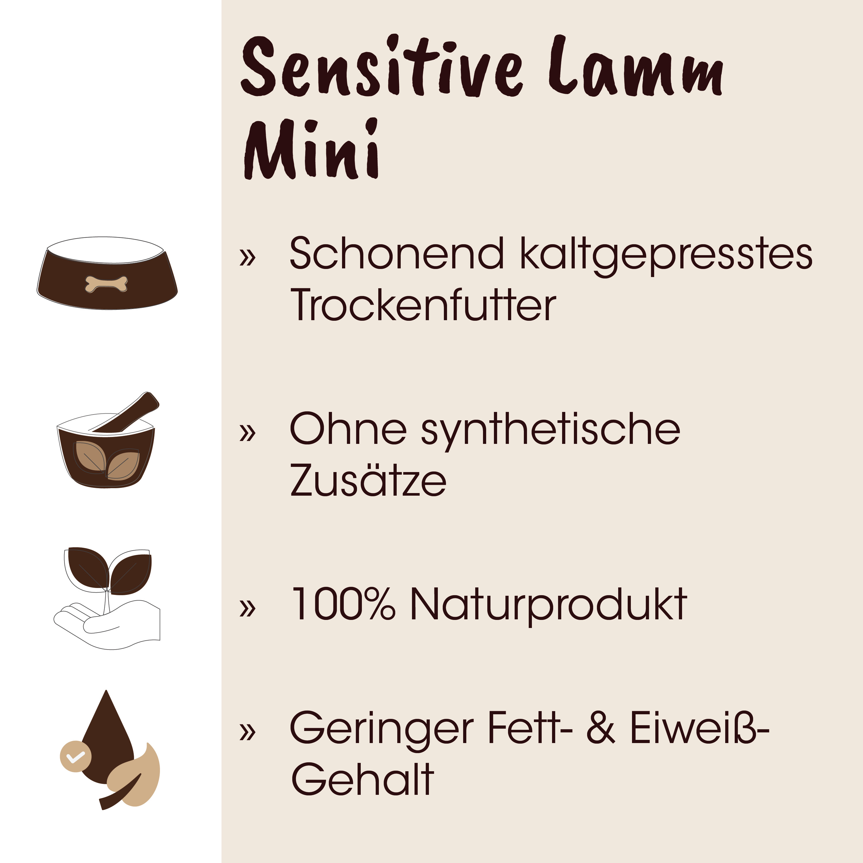 Schale, Mörschen, Kokos, Pflanze, Naturprodukt