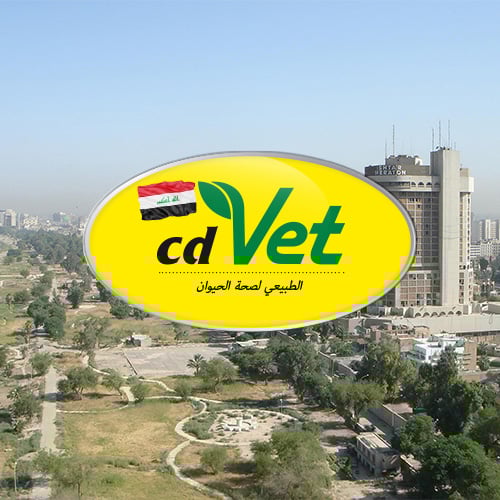 Irak_Bild Stadt, Werbung, Städtisch, Architektur, Gebäude