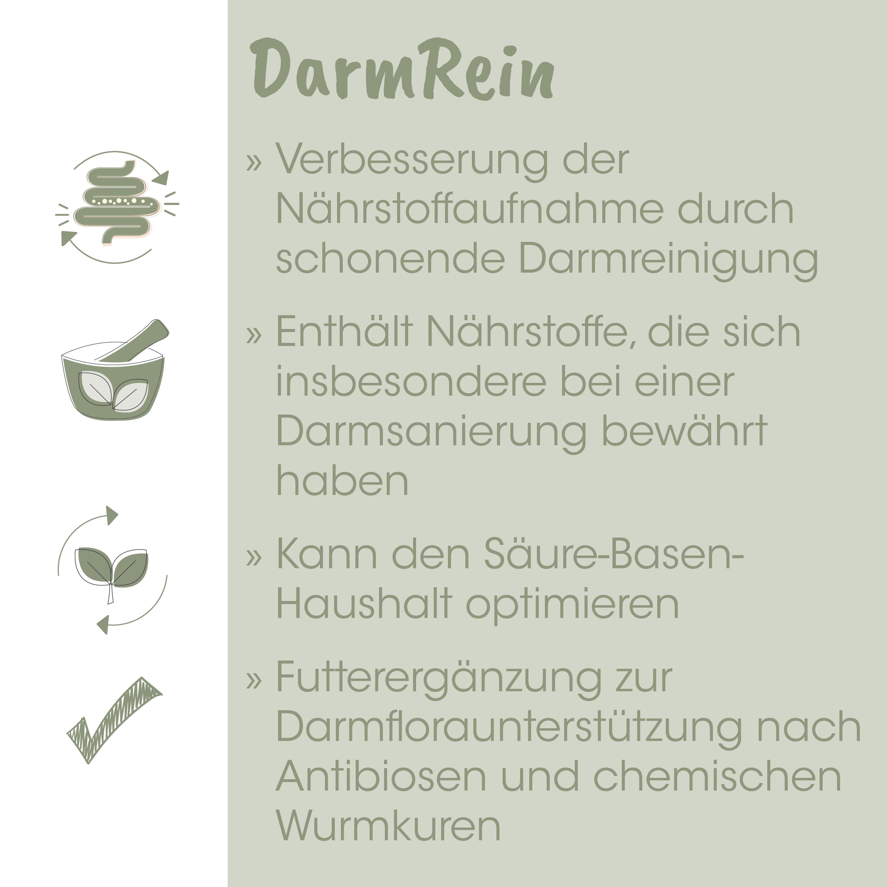 Darm, Nahrungsergänzung, Kapsel, Kleines Gefäß, Rundform