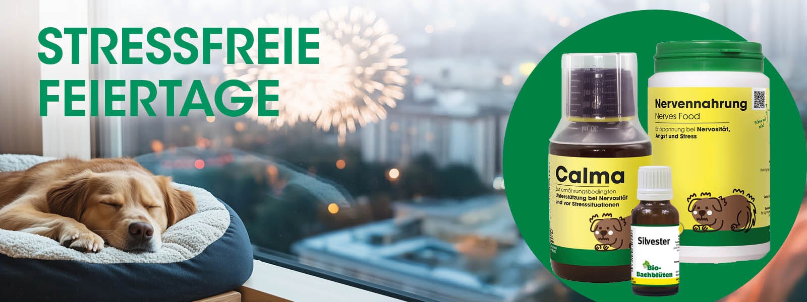 Kräuter, Pflanze, Hund, Haustier, Werbung