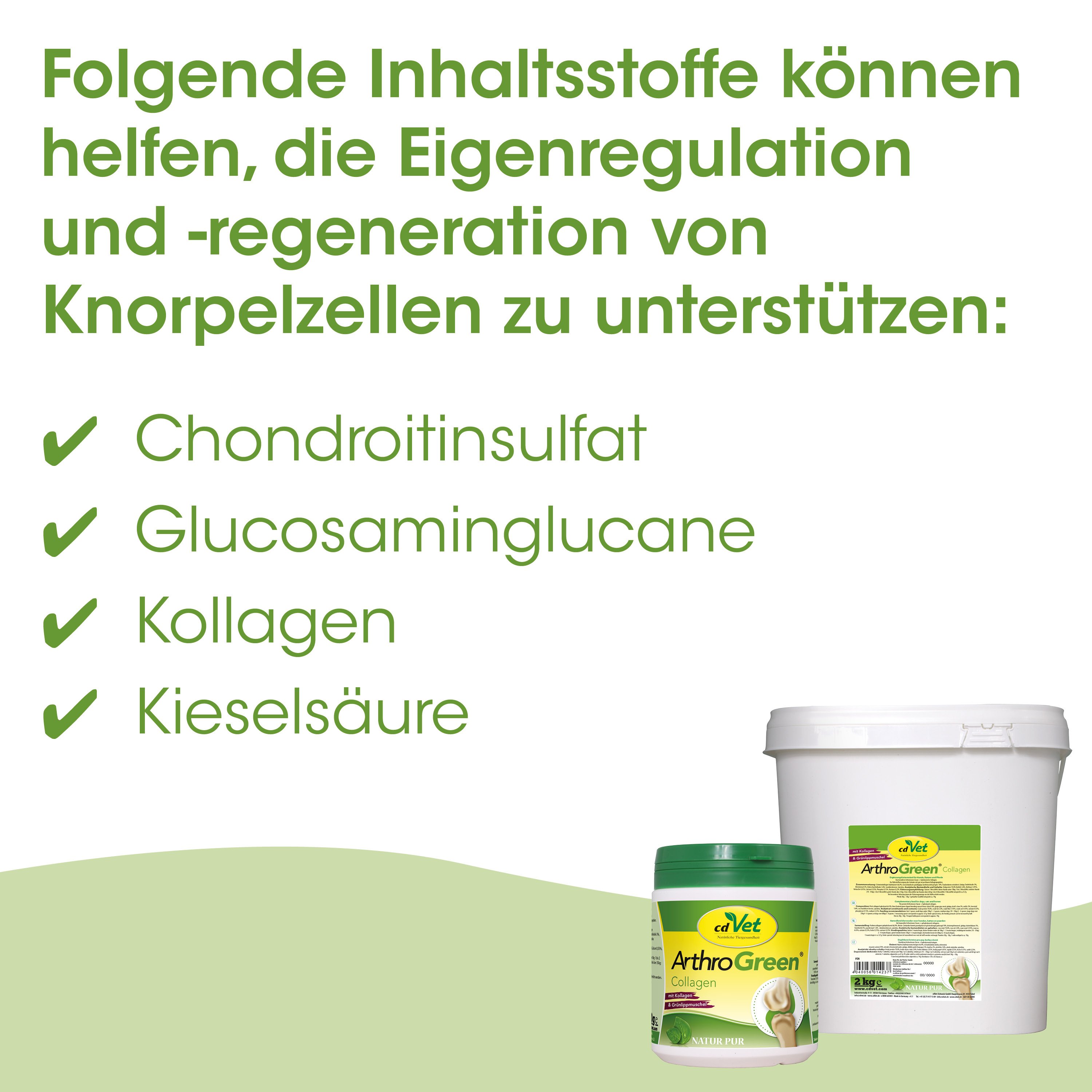 Collagen, Kollagen, Kieselsäure, Chondrotinsulfat?, Glucosaminoglycane?