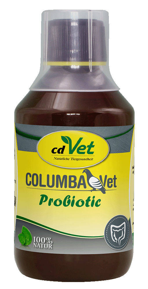 Tier, Vogel, Würzen, Sirup, Ketchup