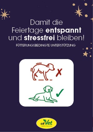 Ergänzungsfutter, Hund, Stressunterstützung, Feiertage