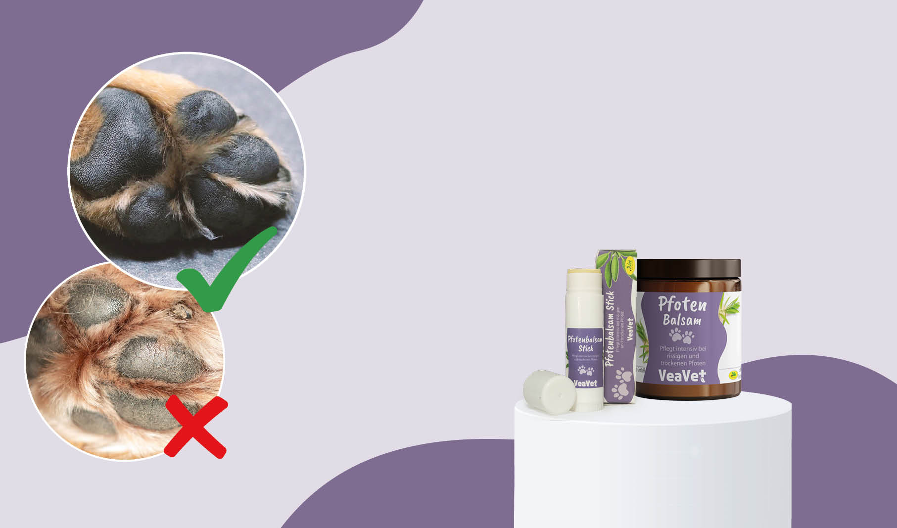 Tier, Hund, Säugetier, Haustier