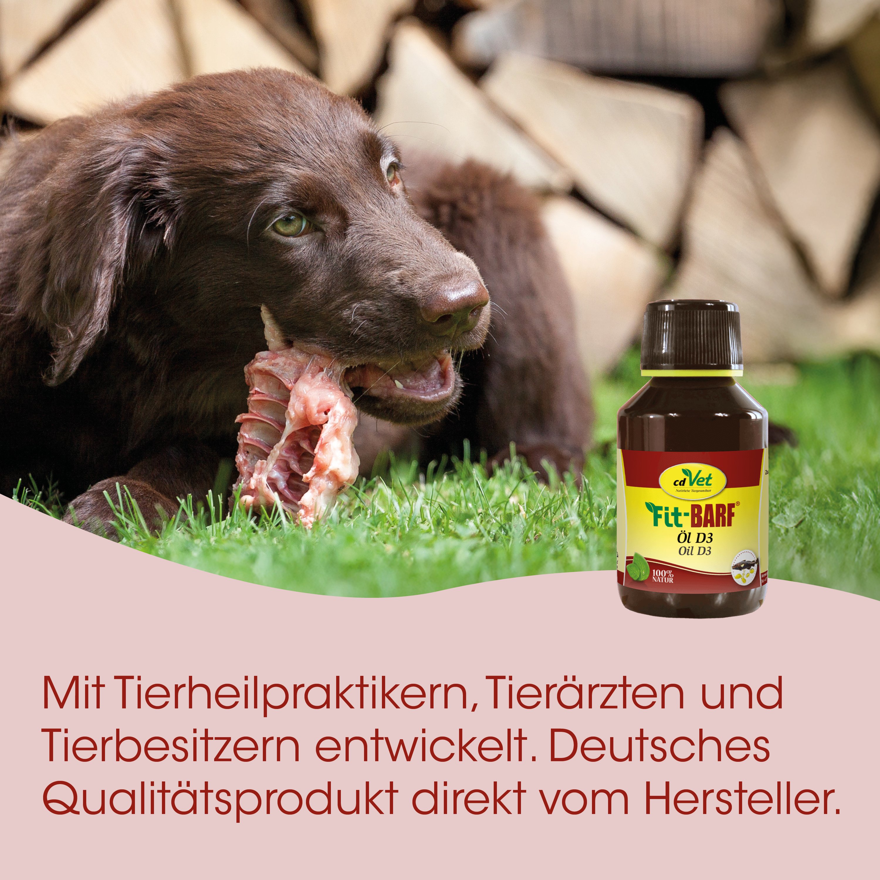 Hund, Futter, Fleischknochen, Öl D3, Tierarztpraxis