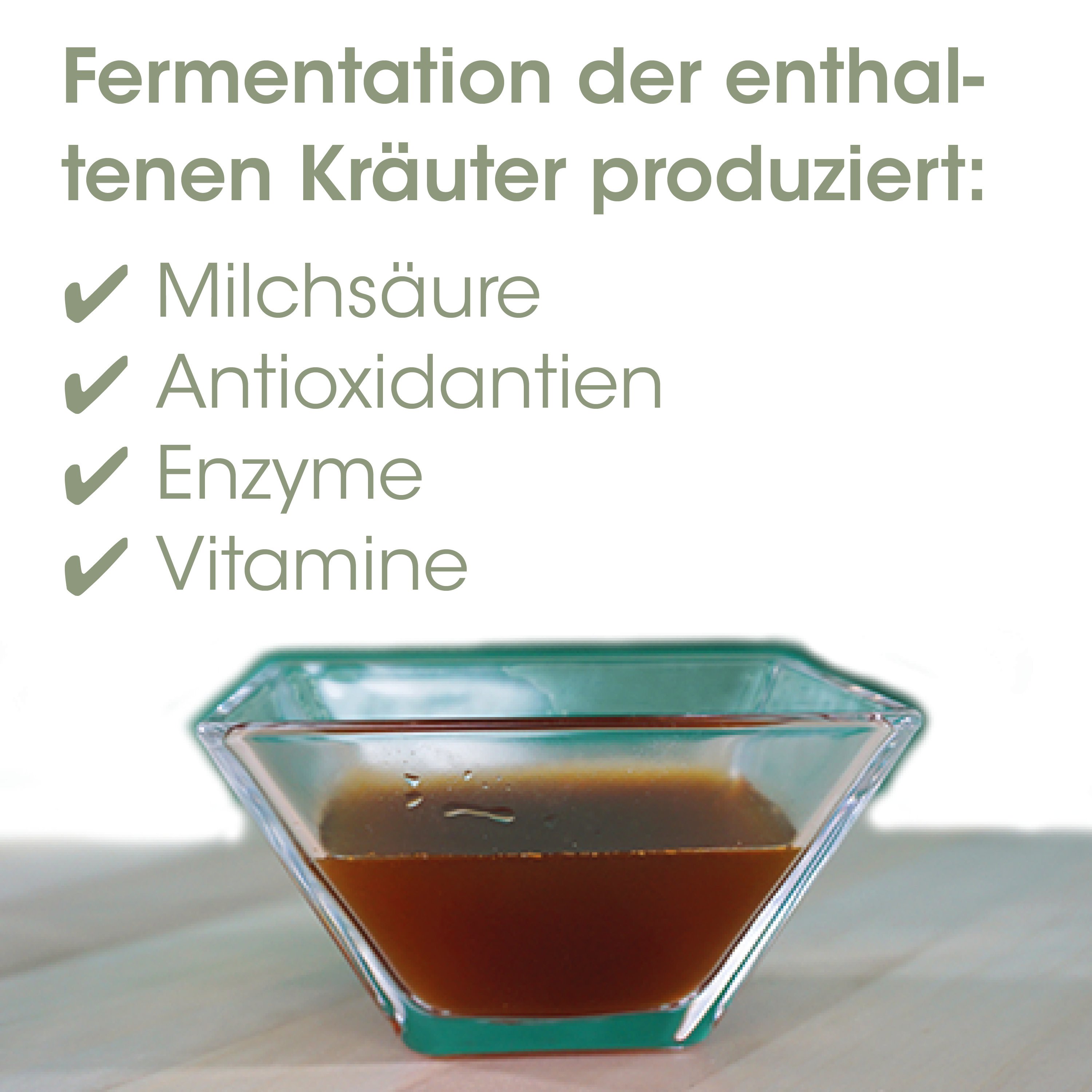 Kefir, Fermentation, Enthaltene Kräuter, Milchsäure, Aktivität