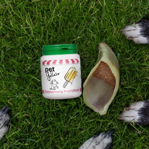 Gras, Pflanze, Obst, Produzieren, Vogel