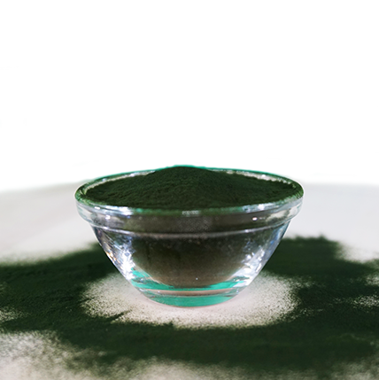 Fit-BARF Bio-Chlorella 250 g
