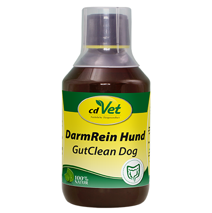 DarmRein Hund 250 ml