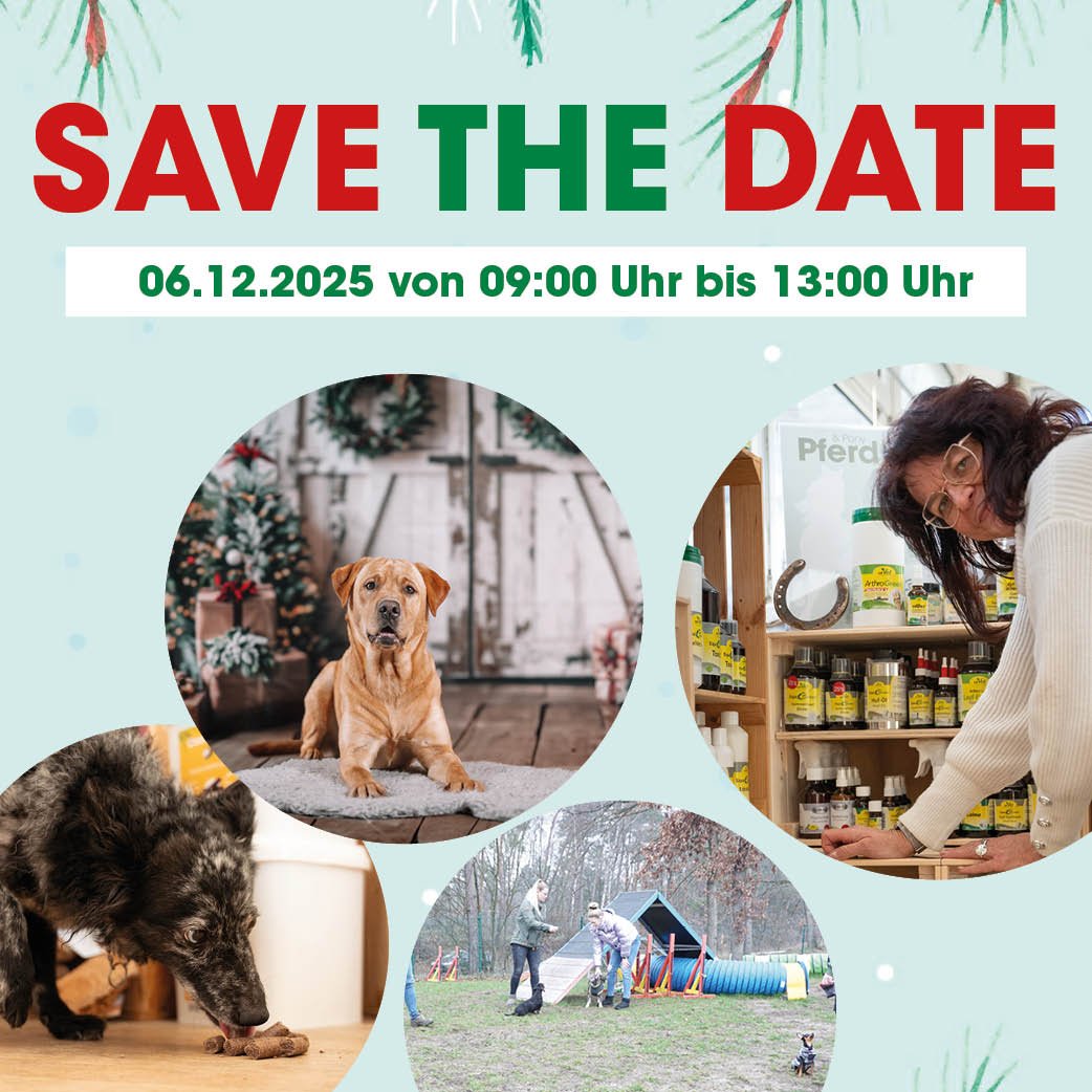 Erwachsener, Weiblich, Person, Frau, Hund