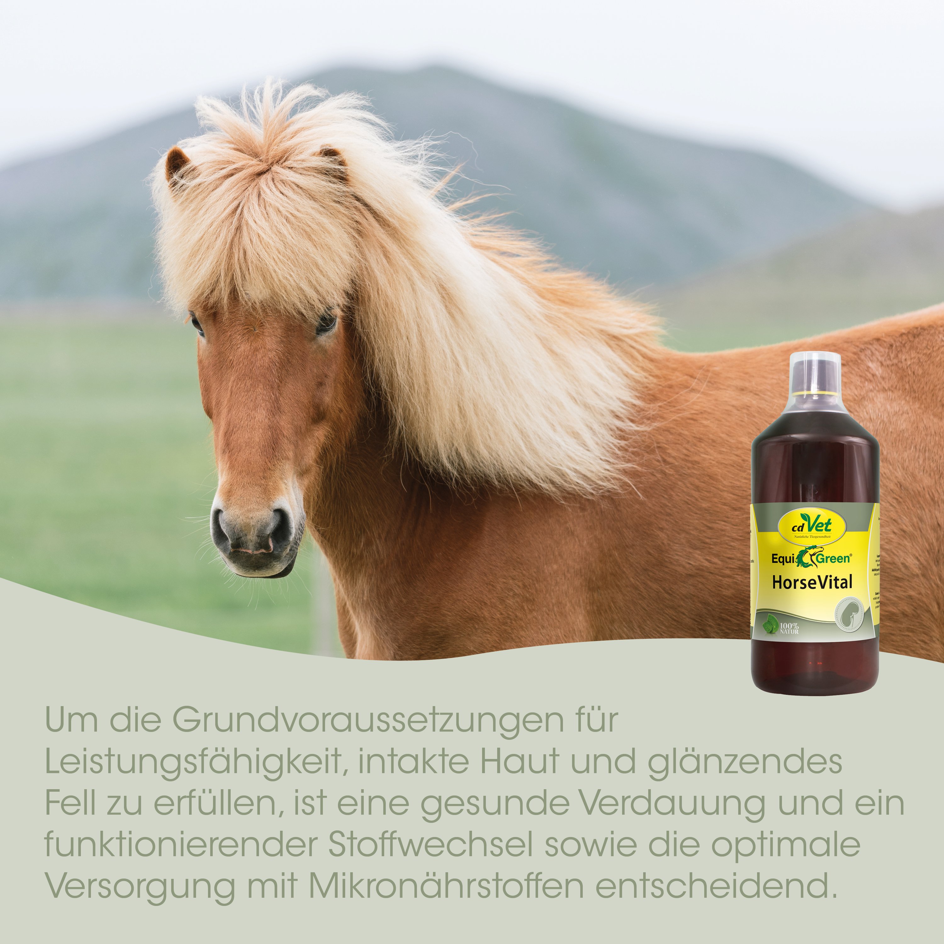 Pferd, Pferdefutter, Hufpflege, HorseVital, Tiergesundheit