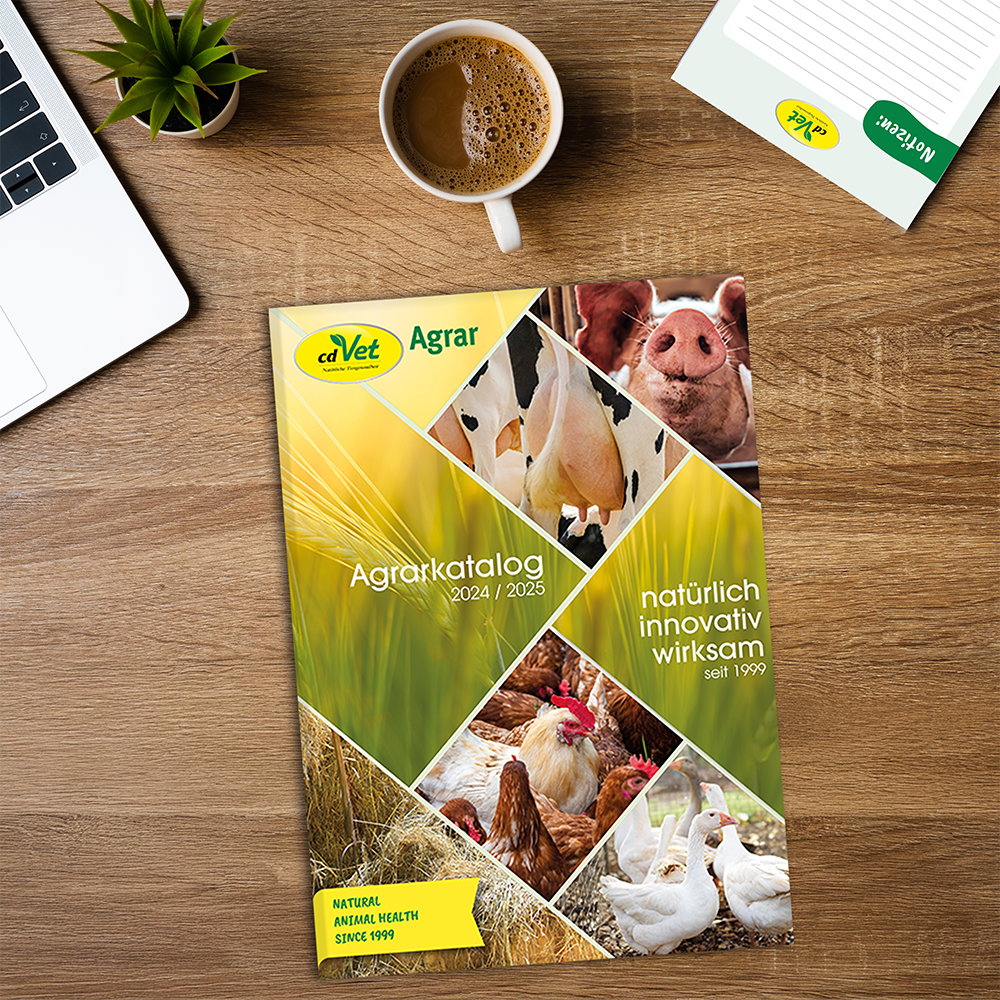 Werbung, Plakat, Hühnchen, Kaffeetasse, Schwein