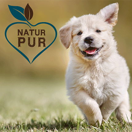 Fit-Crock Puppy Lamm 2 kg-Sorbe-