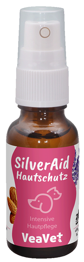 Kräuterig, Kräuter, Pflanze