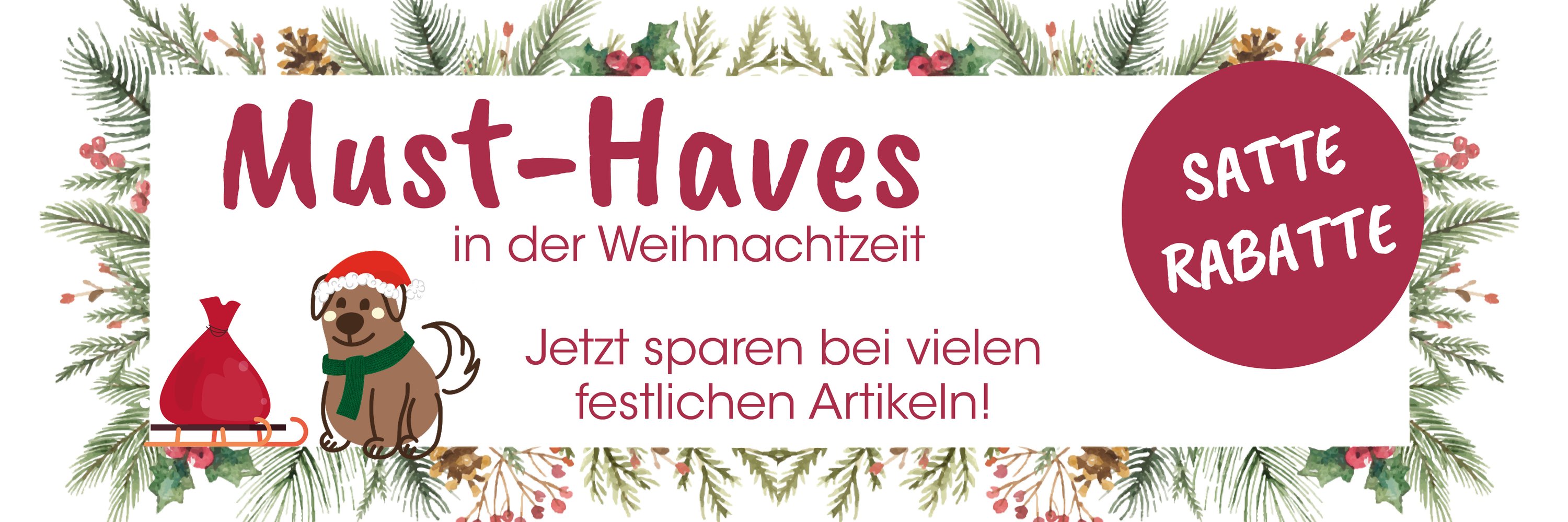 Pflanze, Baum, Konifer, Pflanze, Baum, Pflanze, Baum