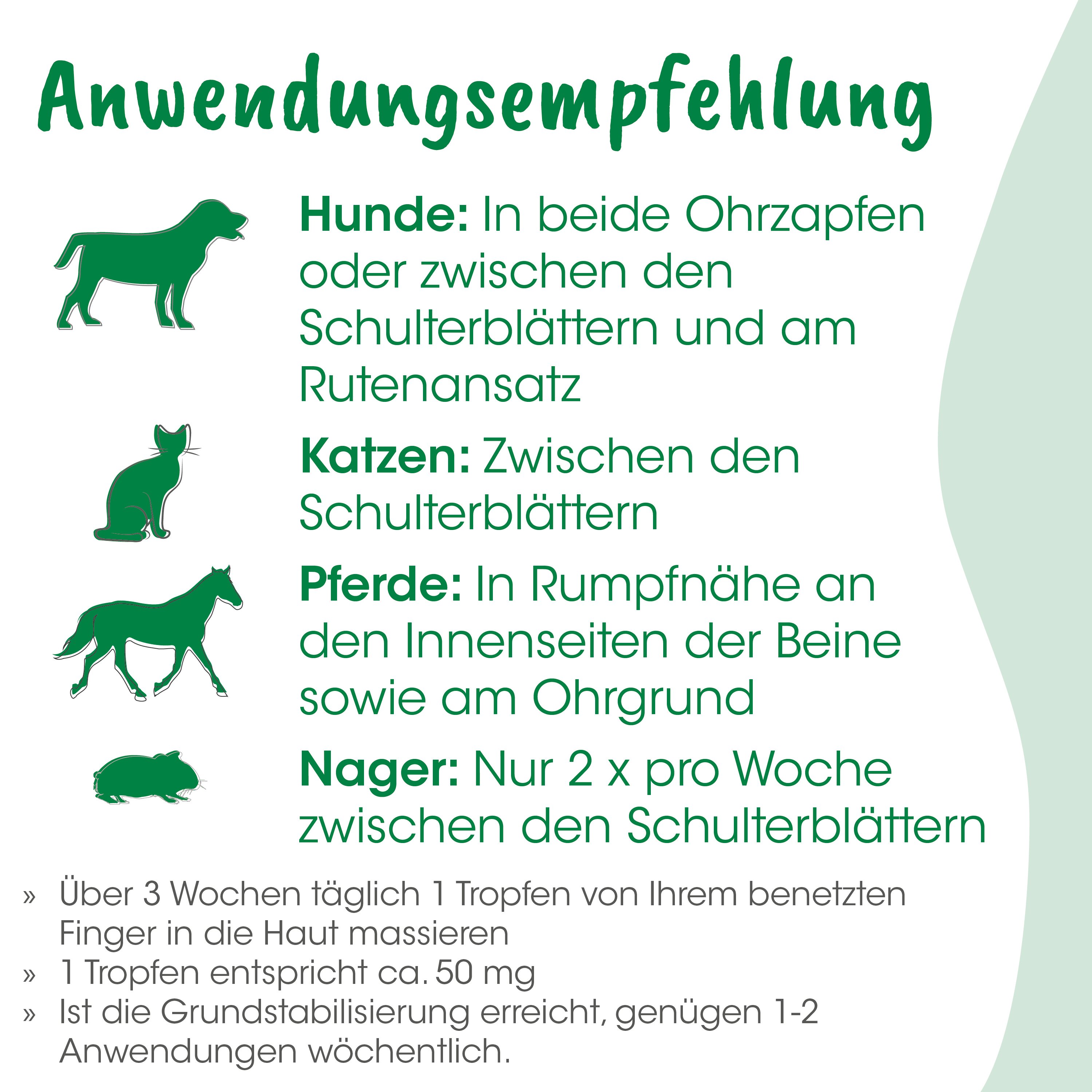 Hund, Katze, Pferd, Nager, Tierarzt