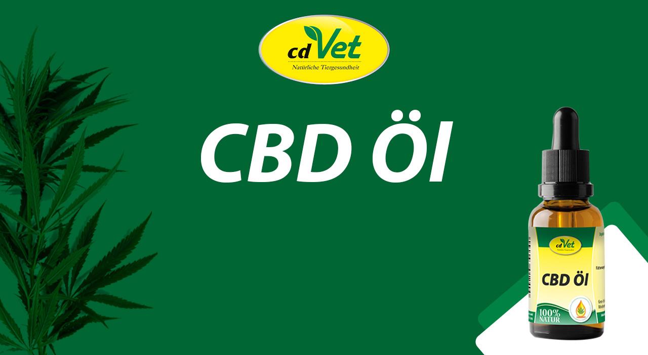 CBD Öl 100 ml