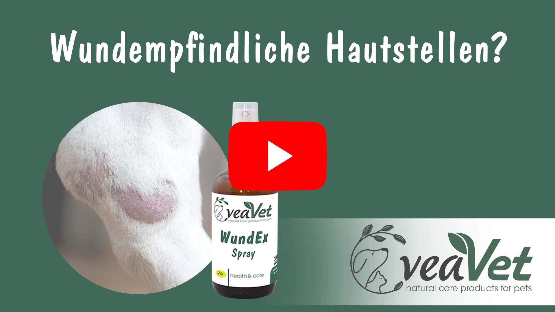 VeaVet WundEx Spray 500 ml