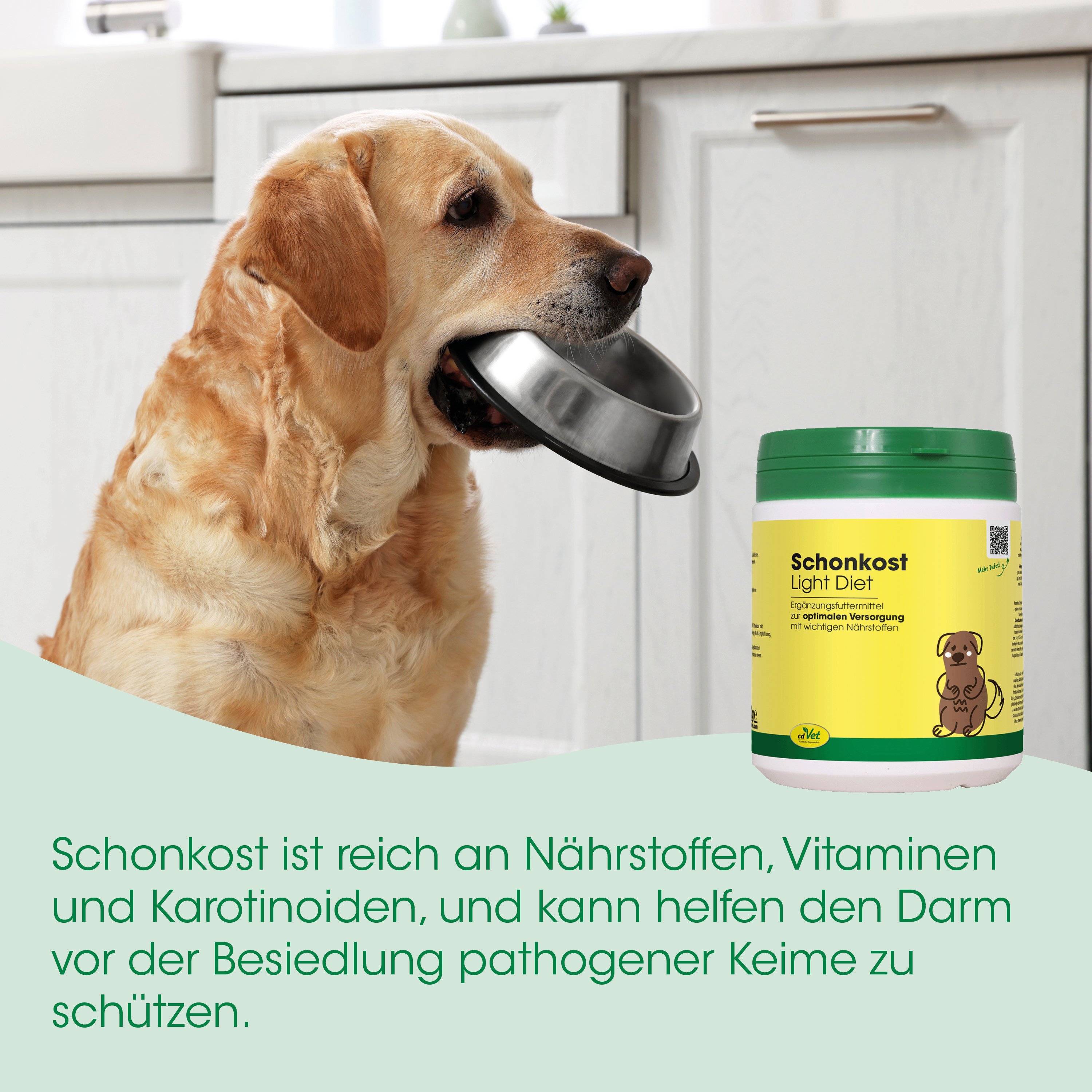 Hund, Hundefutter, Tiernahrung, Ergänzungsfutter, Futterdose