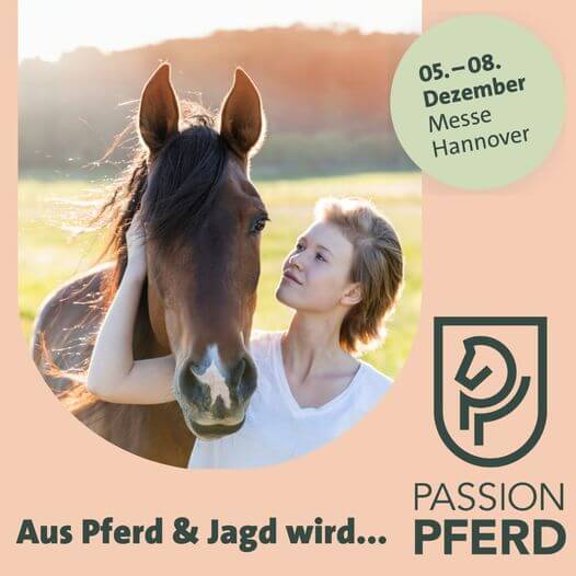 Colt Horse, Pferd, Säugetier, Person, Plakat