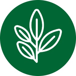 Blatt, Pflanze, Logo